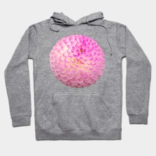 Pink Ball Dahlia Floral Photo Hoodie